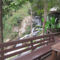 Foto: Kangsadarn Resort and Waterfall 19/32
